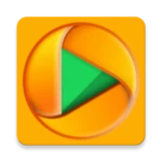 Logo of Network Stream (Video) Player android Application 